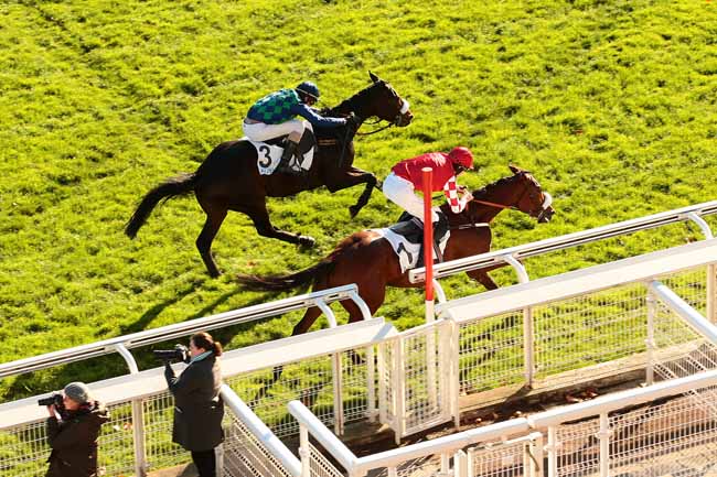 Photo d'arrivée de la course pmu PRIX DE BEAUGENCY à AUTEUIL le Dimanche 22 novembre 2015