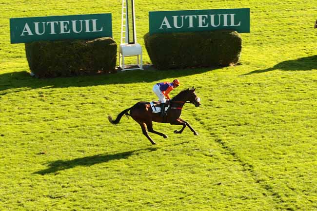 Photo d'arrivée de la course pmu PRIX BERNARD DE DUFAU à AUTEUIL le Dimanche 22 novembre 2015
