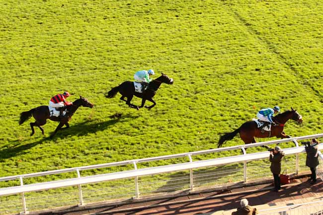 Photo d'arrivée de la course pmu PRIX FRANCOIS DE PONCINS à AUTEUIL le Dimanche 22 novembre 2015