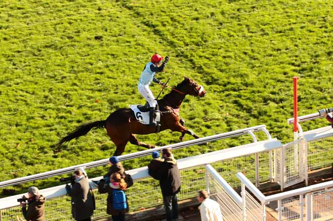 Photo d'arrivée de la course pmu PRIX RENAUD DU VIVIER - GRANDE COURSE DE HAIES DES 4 ANS à AUTEUIL le Dimanche 22 novembre 2015