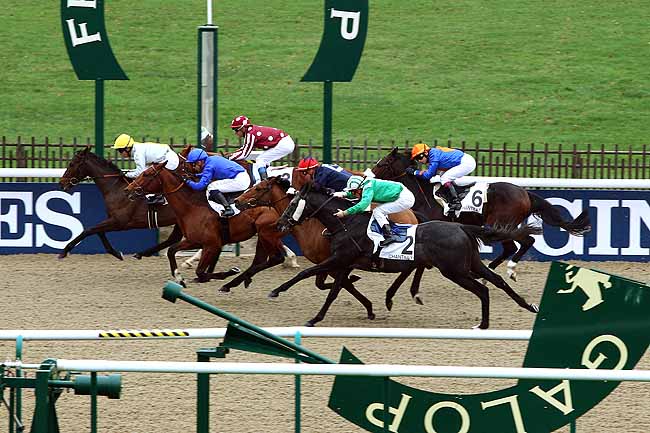 Photo d'arrivée de la course pmu PRIX DE LA CROIX MARQUET à CHANTILLY le Mardi 24 novembre 2015