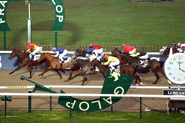 Photo d'arrivée de la course pmu PRIX MELYNO à CHANTILLY le Mardi 24 novembre 2015