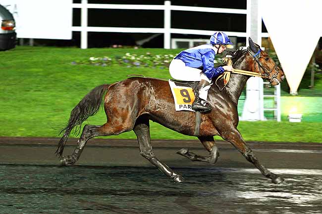 Photo d'arrivée de la course pmu PRIX KLIO à PARIS-VINCENNES le Mardi 24 novembre 2015