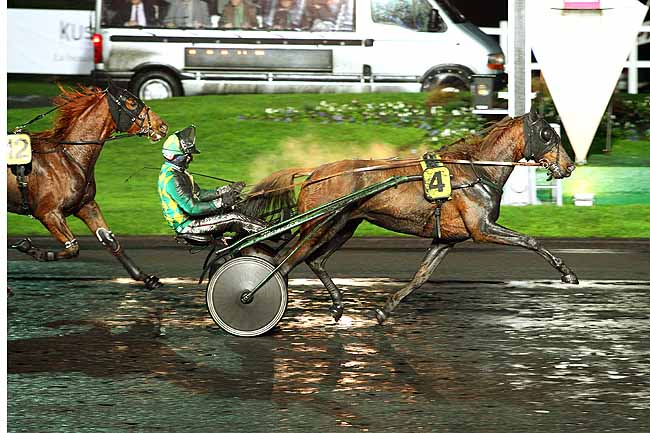 Photo d'arrivée de la course pmu GRAND PRIX ASSOCIATION PETITS PRINCES à PARIS-VINCENNES le Mardi 24 novembre 2015