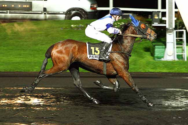Photo d'arrivée de la course pmu PRIX MERCATOR à PARIS-VINCENNES le Mardi 24 novembre 2015