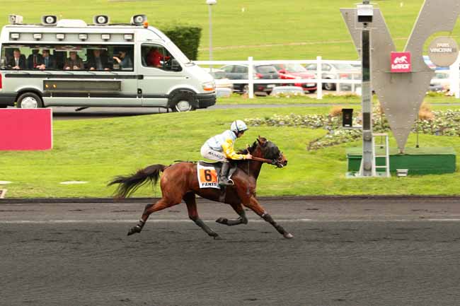 Photo d'arrivée de la course pmu PRIX DE MEYSSAC à PARIS-VINCENNES le Mercredi 25 novembre 2015