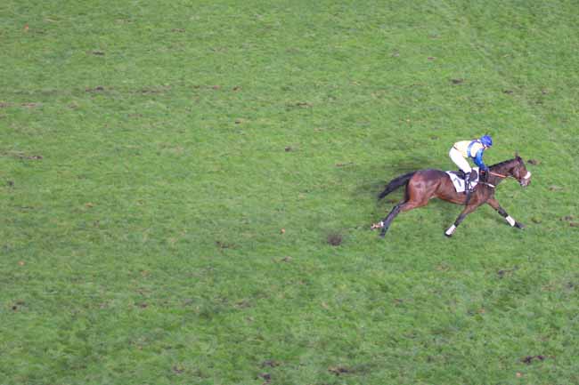 Photo d'arrivée de la course pmu PRIX DANDOLO à AUTEUIL le Mercredi 25 novembre 2015