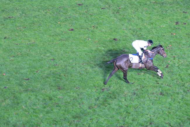 Photo d'arrivée de la course pmu PRIX LEOPOLD BARA à AUTEUIL le Mercredi 25 novembre 2015