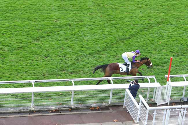Photo d'arrivée de la course pmu PRIX CHALET à AUTEUIL le Mercredi 25 novembre 2015