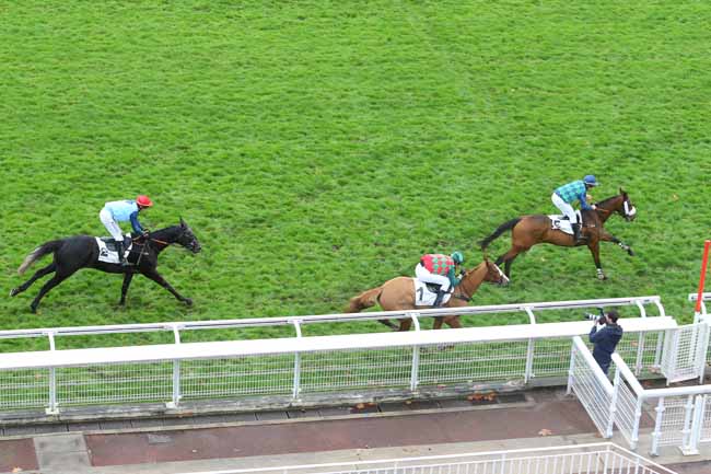 Photo d'arrivée de la course pmu PRIX ROBERT DE LIPOWSKI à AUTEUIL le Mercredi 25 novembre 2015