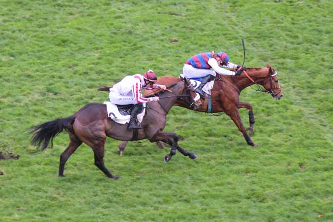 Photo d'arrivée de la course pmu PRIX STYRAX à AUTEUIL le Mercredi 25 novembre 2015