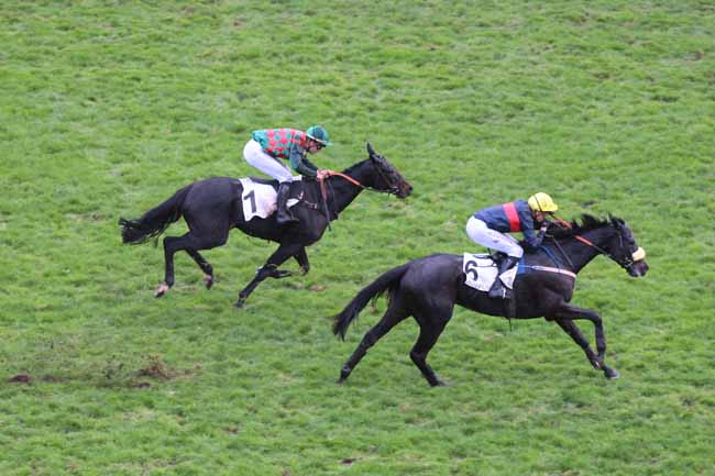 Photo d'arrivée de la course pmu PRIX GENERAL DONNIO à AUTEUIL le Mercredi 25 novembre 2015