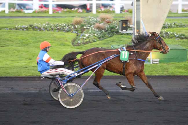 Photo d'arrivée de la course pmu PRIX DE BEAUVOIR à PARIS-VINCENNES le Jeudi 26 novembre 2015