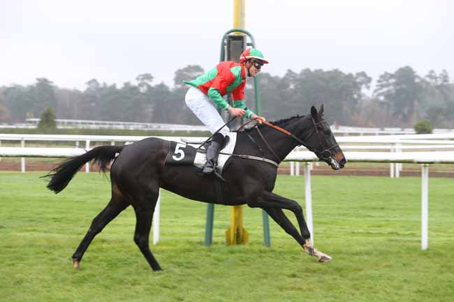 Photo d'arrivée de la course pmu PRIX DES GORGES D'APREMONT à FONTAINEBLEAU le Vendredi 27 novembre 2015