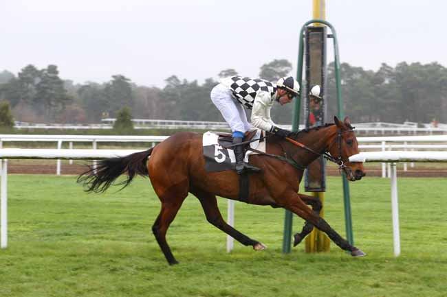 Photo d'arrivée de la course pmu PRIX DE LA FONTAINE AUX BICHES à FONTAINEBLEAU le Vendredi 27 novembre 2015