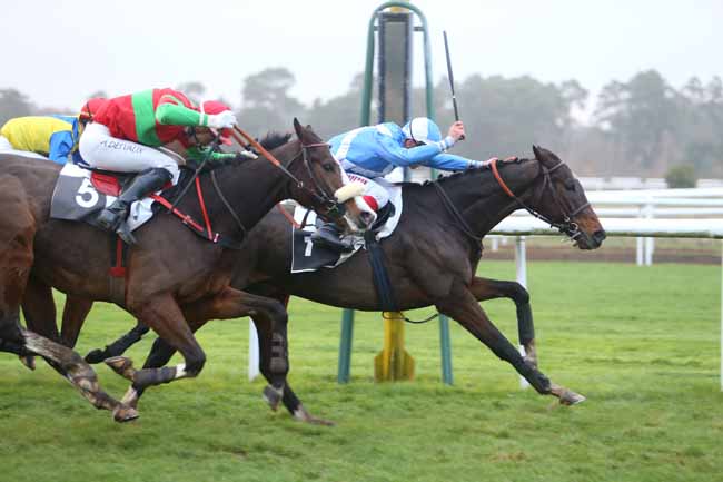 Photo d'arrivée de la course pmu PRIX DE LA GROTTE DES ERMITES à FONTAINEBLEAU le Vendredi 27 novembre 2015