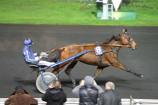 Photo d'arrivée de la course pmu PRIX HILDA à PARIS-VINCENNES le Vendredi 27 novembre 2015