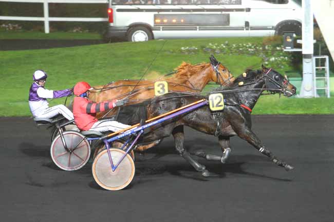 Photo d'arrivée de la course pmu PRIX WERINGIA à PARIS-VINCENNES le Vendredi 27 novembre 2015