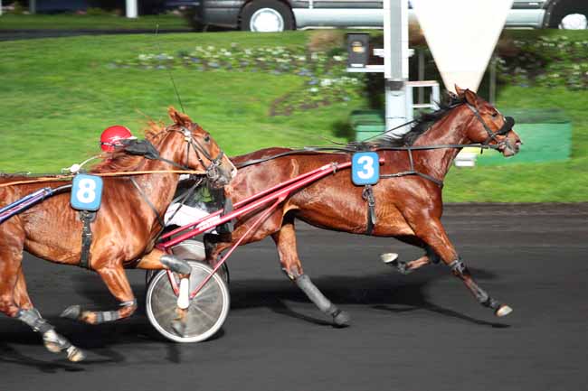 Photo d'arrivée de la course pmu PRIX DE BETHUNE à PARIS-VINCENNES le Samedi 28 novembre 2015