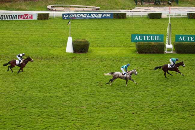 Photo d'arrivée de la course pmu PRIX NUPSALA à AUTEUIL le Dimanche 29 novembre 2015