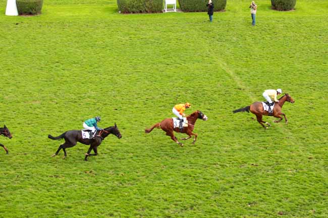 Photo d'arrivée de la course pmu PRIX FIFRELET à AUTEUIL le Dimanche 29 novembre 2015