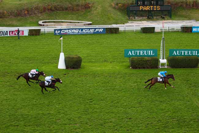 Photo d'arrivée de la course pmu PRIX JEAN LAUMAIN à AUTEUIL le Dimanche 29 novembre 2015