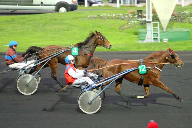 Photo d'arrivée de la course pmu PRIX DE SAULT à PARIS-VINCENNES le Lundi 30 novembre 2015