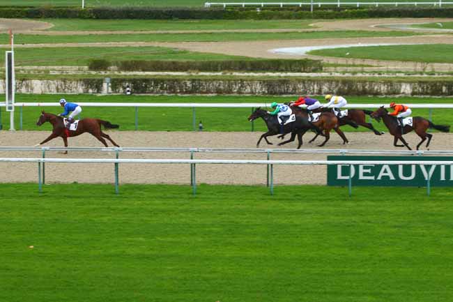 Photo d'arrivée de la course pmu PRIX DE L'EPINAY à DEAUVILLE le Lundi 30 novembre 2015