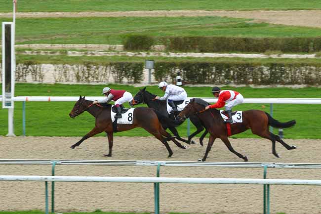 Photo d'arrivée de la course pmu PRIX DE LA RIVIERE MORTE à DEAUVILLE le Lundi 30 novembre 2015