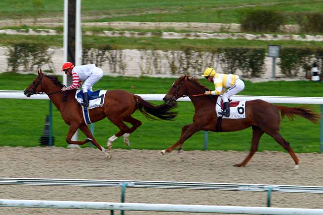 Photo d'arrivée de la course pmu PRIX DE BURSARD à DEAUVILLE le Lundi 30 novembre 2015