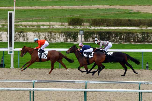 Photo d'arrivée de la course pmu PRIX DE LA BIENNE à DEAUVILLE le Lundi 30 novembre 2015