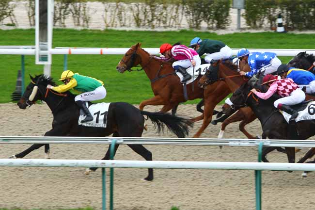 Photo d'arrivée de la course pmu PRIX DU BASSIN A FLOTS à DEAUVILLE le Lundi 30 novembre 2015