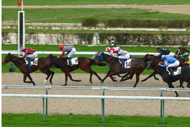 Photo d'arrivée de la course pmu PRIX DES ARGUILLIERS à DEAUVILLE le Lundi 30 novembre 2015