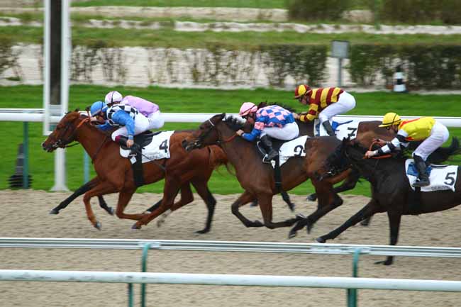 Photo d'arrivée de la course pmu PRIX DE LANGERAIS à DEAUVILLE le Lundi 30 novembre 2015