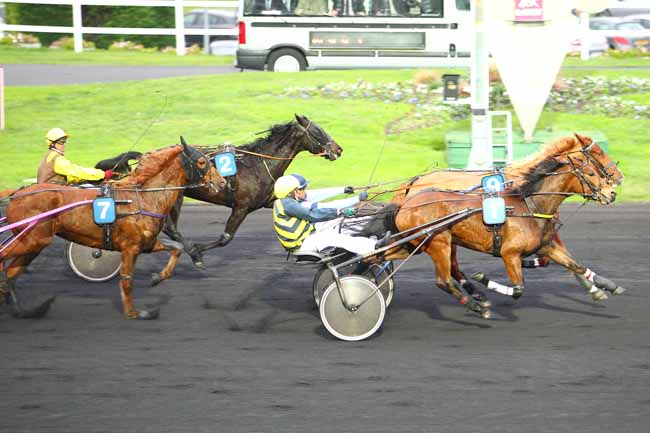 Photo d'arrivée de la course pmu PRIX DES AZALEES à PARIS-VINCENNES le Mardi 1 décembre 2015