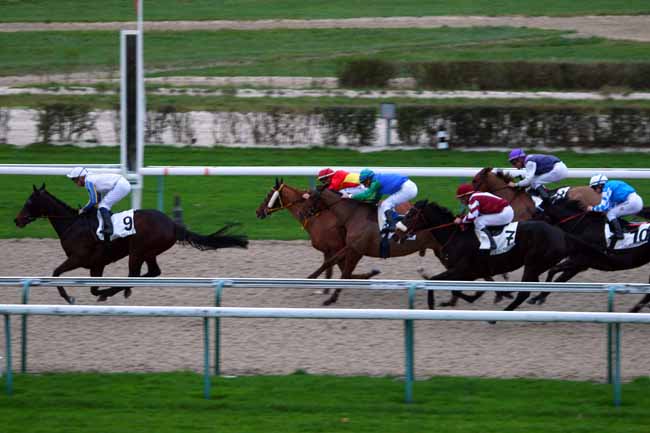 Photo d'arrivée de la course pmu PRIX AUNOU LE FAUCON à DEAUVILLE le Mardi 1 décembre 2015