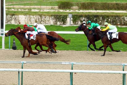 Photo d'arrivée de la course pmu PRIX DE LA PIGEONNIERE à DEAUVILLE le Mardi 1 décembre 2015