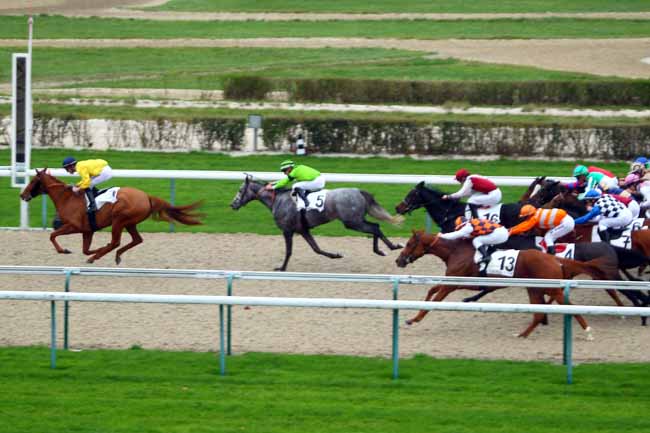 Photo d'arrivée de la course pmu PRIX DE MOULINS-LA-MARCHE à DEAUVILLE le Mardi 1 décembre 2015