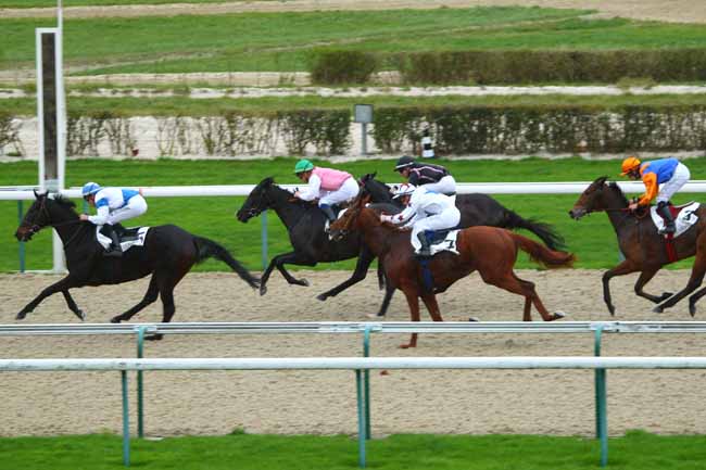 Photo d'arrivée de la course pmu PRIX DE LA FERRIERE-AU-DOYEN à DEAUVILLE le Mardi 1 décembre 2015