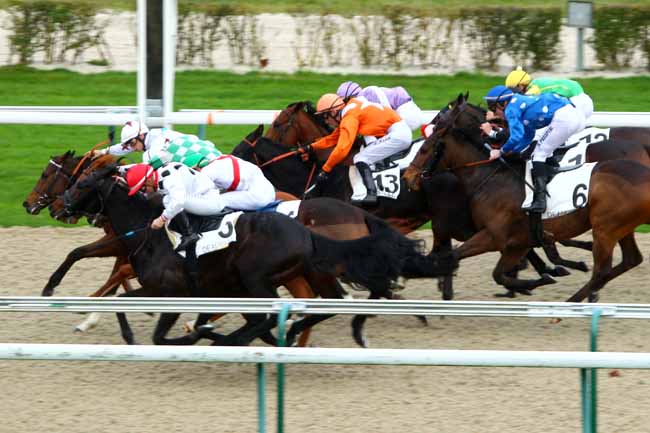 Photo d'arrivée de la course pmu PRIX DE CHAILLOUE à DEAUVILLE le Mardi 1 décembre 2015