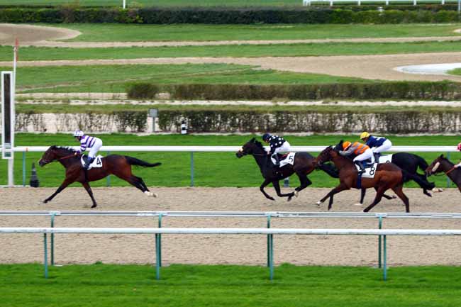Photo d'arrivée de la course pmu PRIX DE GRANDOUET à DEAUVILLE le Mardi 1 décembre 2015