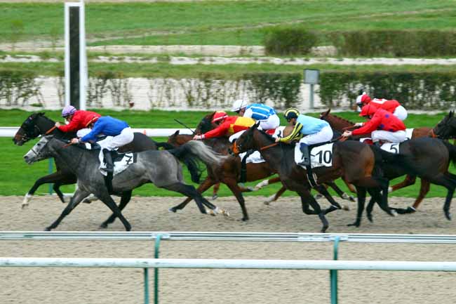 Photo d'arrivée de la course pmu PRIX LYPHARD à DEAUVILLE le Mardi 1 décembre 2015