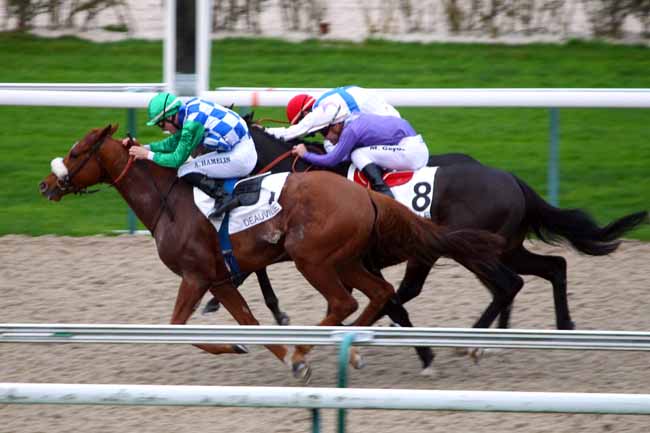 Photo d'arrivée de la course pmu PRIX DE MARMOUILLE à DEAUVILLE le Mardi 1 décembre 2015