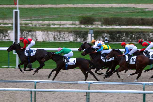 Photo d'arrivée de la course pmu PRIX DE GENNEVILLE à DEAUVILLE le Mercredi 2 décembre 2015