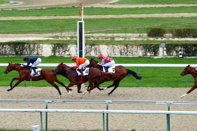 Photo d'arrivée de la course pmu PRIX GREY DAWN à DEAUVILLE le Mercredi 2 décembre 2015