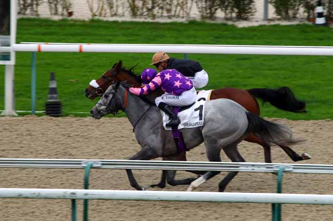 Photo d'arrivée de la course pmu PRIX DE MONTEILLERIE à DEAUVILLE le Mercredi 2 décembre 2015