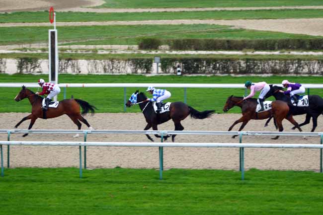 Photo d'arrivée de la course pmu PRIX DE SURVILLE à DEAUVILLE le Mercredi 2 décembre 2015