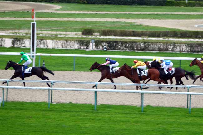 Photo d'arrivée de la course pmu PRIX PETITE ETOILE à DEAUVILLE le Mercredi 2 décembre 2015