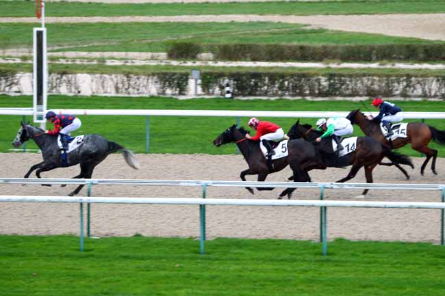 Photo d'arrivée de la course pmu PRIX DE TOURVILLE à DEAUVILLE le Mercredi 2 décembre 2015
