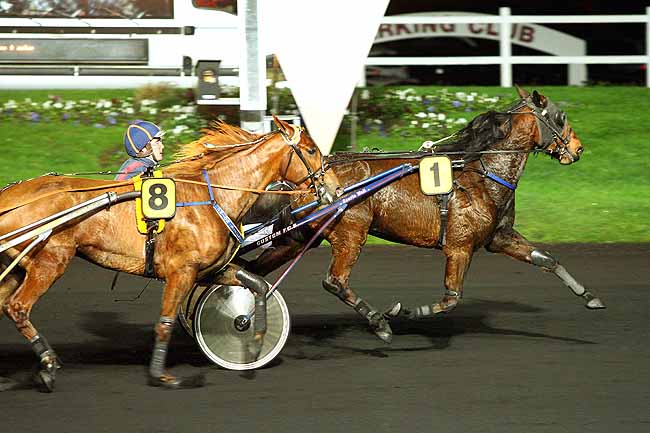 Photo d'arrivée de la course pmu PRIX UNITAS à PARIS-VINCENNES le Vendredi 4 décembre 2015